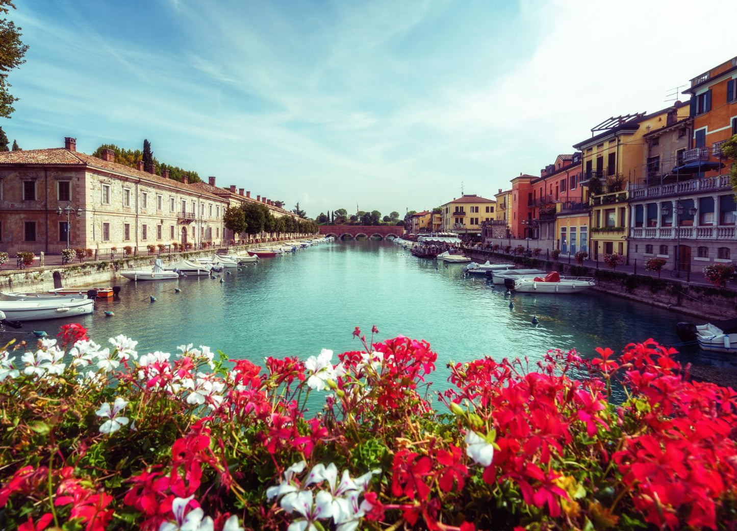 Francia, Italia, Suiza, Alsacia y Selva Negra