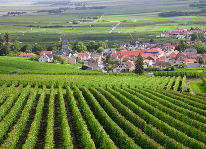 Francia y Suiza con Alsacia y Selva Negra