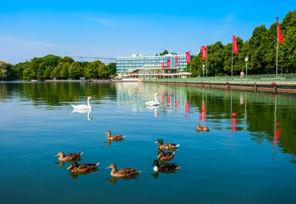 Grandes Capitales del Norte y Escandinavia CDMX