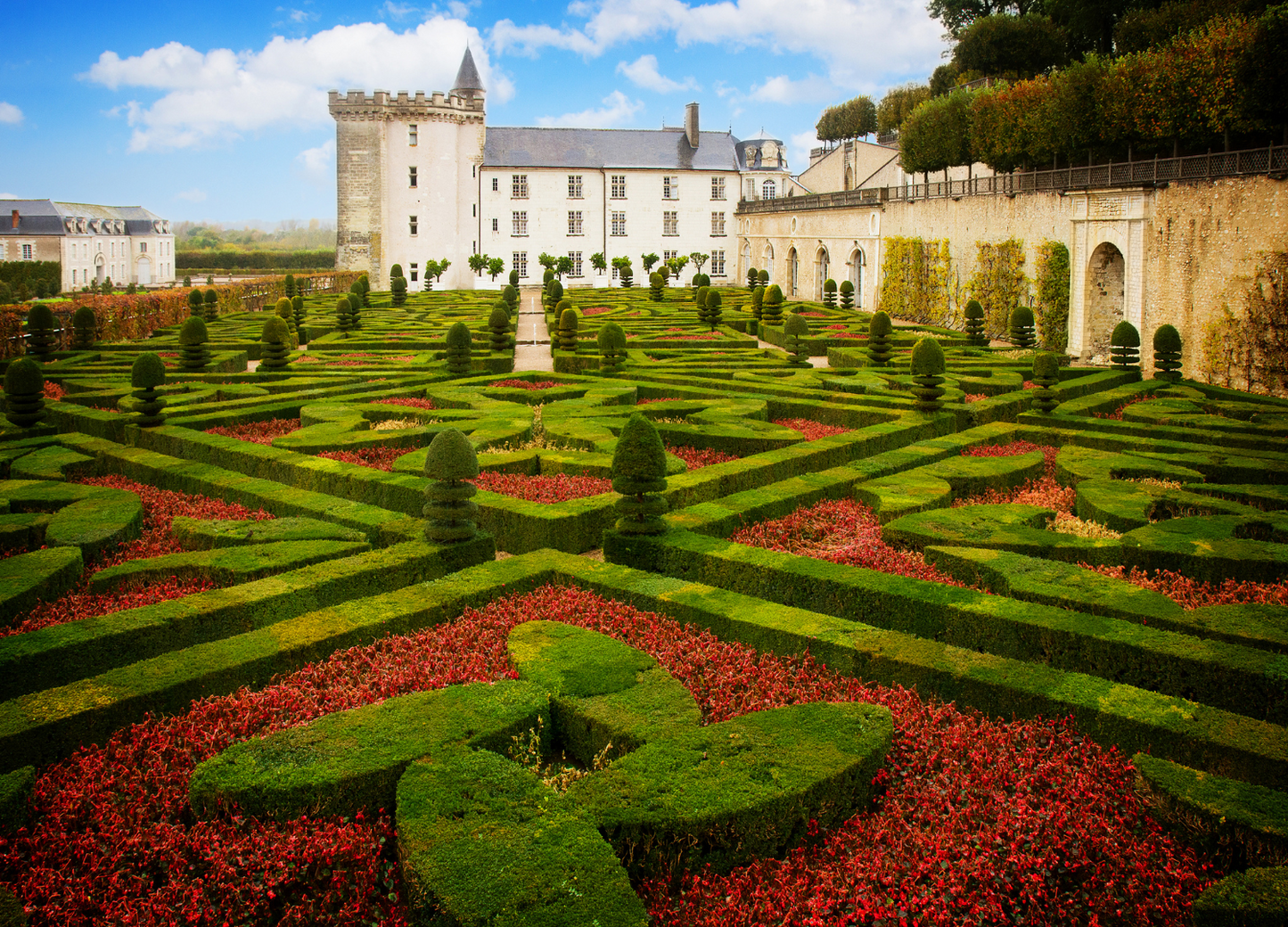 Francia Encantada y Selva Negra