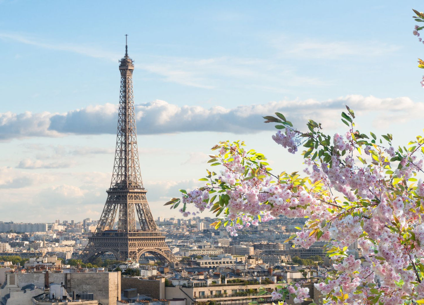 París, Lourdes, Costa Azul, Provenza y Barcelona
