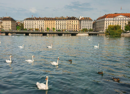 París, Borgoña, Italia, Suiza y Alsacia