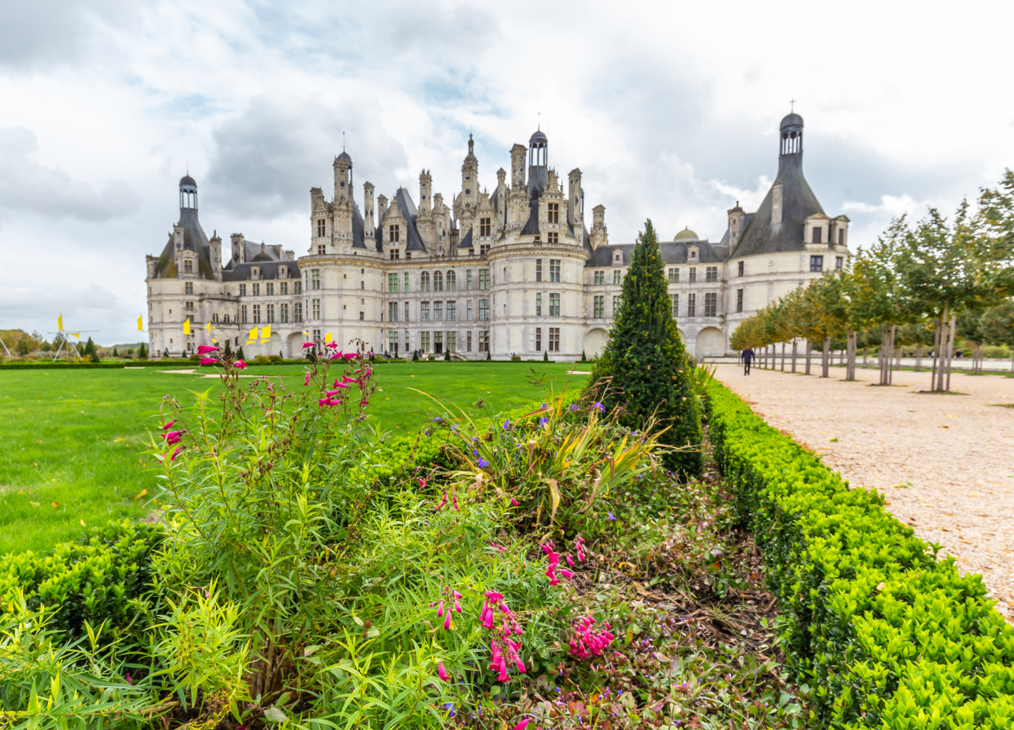 Francia Encantada y Selva Negra