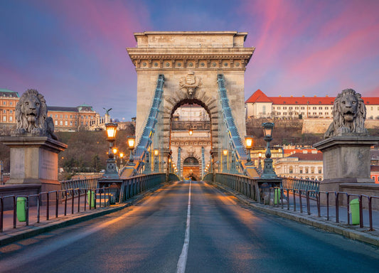 Viena y Budapest +i