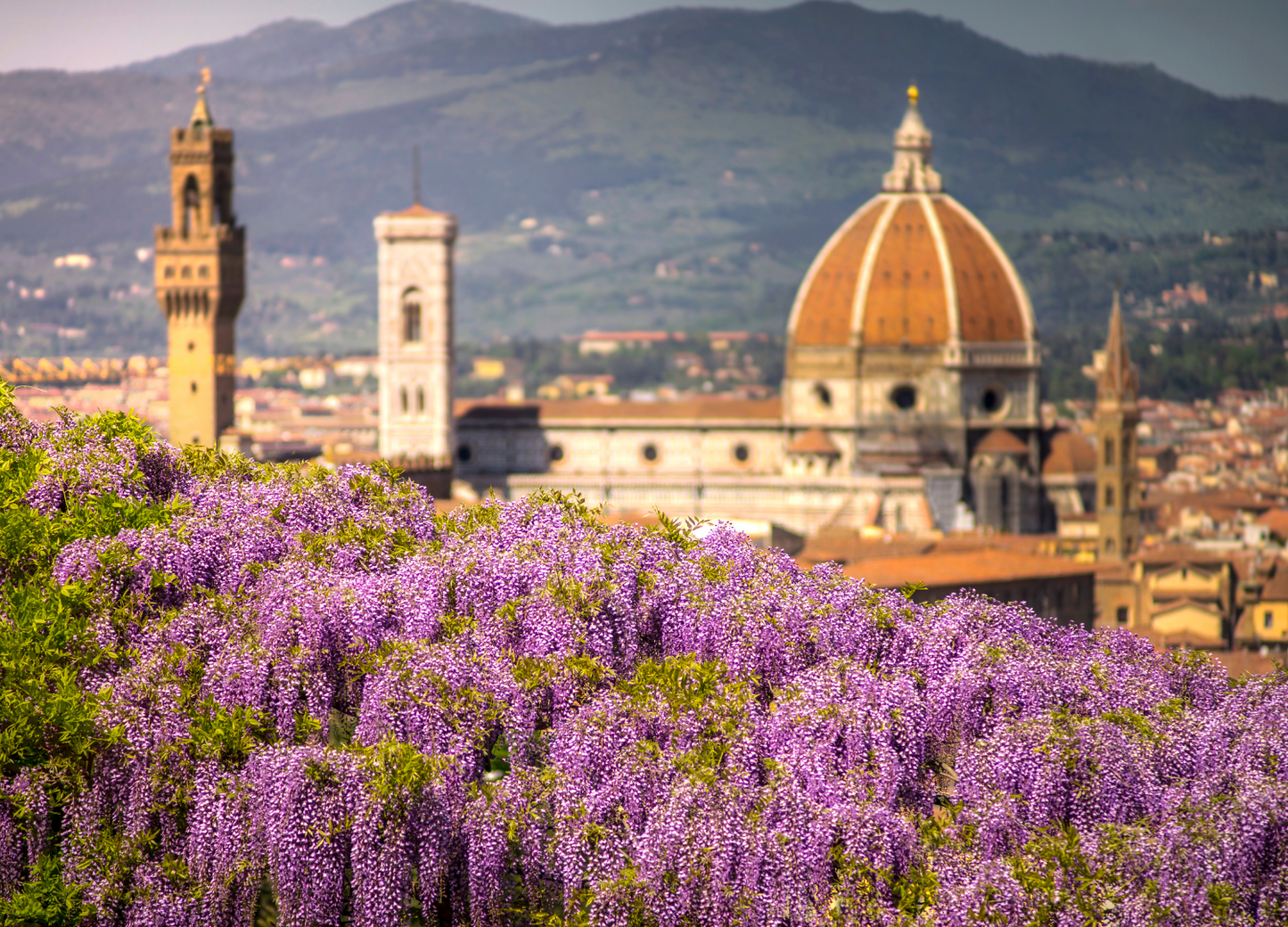 Roma, Puglia y Campania con Norte de Italia fin Venecia